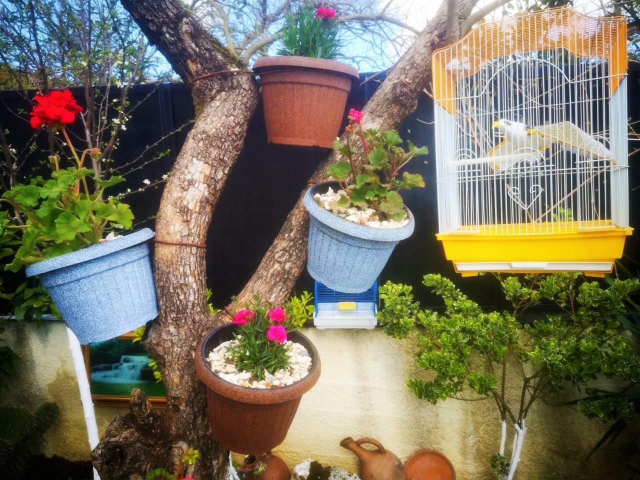 Hostel Sadu Κουτάισι Εξωτερικό φωτογραφία
