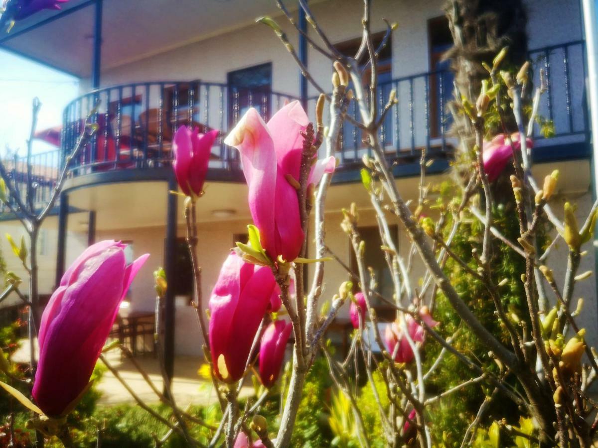 Hostel Sadu Κουτάισι Εξωτερικό φωτογραφία